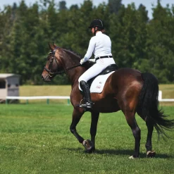 UNBELTS Belts|Unbelt