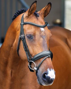 SHIRES EQUESTRIAN English Bridles|Velociti Lusso Dressage Flash Bridle