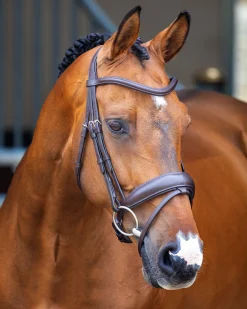 SHIRES EQUESTRIAN English Bridles|Velociti Lusso Dressage Flash Bridle