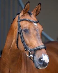 SHIRES EQUESTRIAN English Bridles|Velociti Lusso Ergonomic Curved Flash Bridle