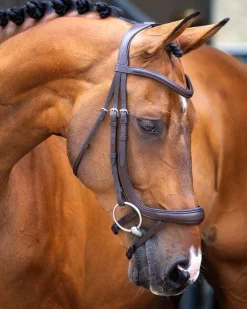 SHIRES EQUESTRIAN English Bridles|Velociti Lusso Ergonomic Curved Flash Bridle