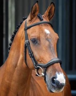 SHIRES EQUESTRIAN English Bridles|Velociti Lusso Ergonomic Flash Bridle