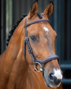 SHIRES EQUESTRIAN English Bridles|Velociti Lusso Ergonomic Flash Bridle