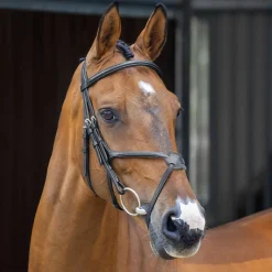 SHIRES EQUESTRIAN English Bridles|Velociti Lusso Grackle Bridle