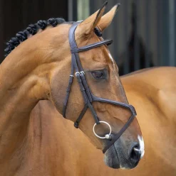 SHIRES EQUESTRIAN English Bridles|Velociti Lusso Grackle Bridle