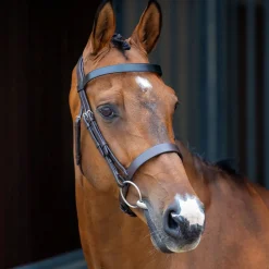 SHIRES EQUESTRIAN English Bridles|Velociti Lusso Hunter Caveson Bridle