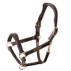 SHIRES EQUESTRIAN Halters|Velociti Rapida Cushioned Leather Halter