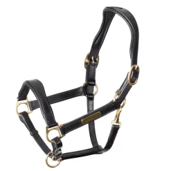 SHIRES EQUESTRIAN Halters|Velociti Rapida Cushioned Leather Halter