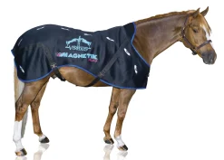 ERS Stable Sheets|Veredus® Magnetik Stable Sheet