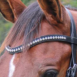 WORLD EQUSTRN BRNDS Bridle Parts & Accessories|Veritas by Vespucci Contoured Browband with Swarovski® Crystals