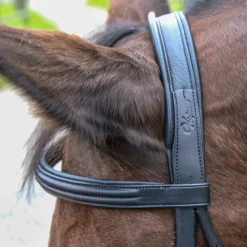 WORLD EQUSTRN BRNDS English Bridles|Vespucci Classic Dressage Bridle