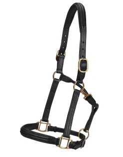 WORLD EQUSTRN BRNDS Halters|Vespucci Double Raised Halter