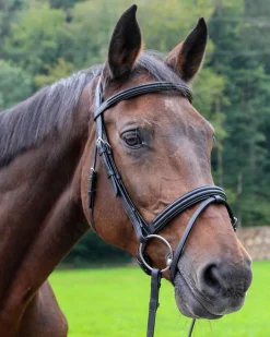 WORLD EQUSTRN BRNDS English Bridles|Vespucci Dressage Double Raised Snaffle Bridle