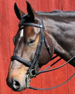 WORLD EQUSTRN BRNDS English Bridles|Vespucci Dressage Double Raised Weymouth Bridle