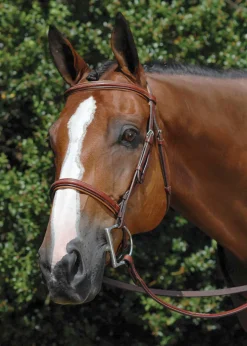 WORLD EQUSTRN BRNDS English Bridles|Vespucci Fancy Raised Hunter Bridle