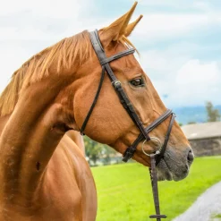 WORLD EQUSTRN BRNDS English Bridles|Vespucci Plain Raised Jump Bridle