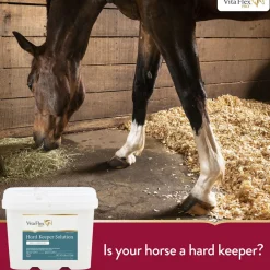 CENTRAL LIFE SCIENCE Horse Supplements|Vita Flex® Pro Hard Keeper™