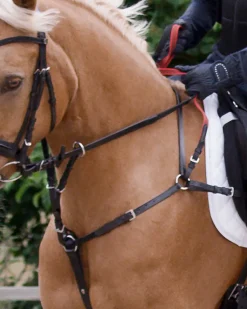 WALDHAUSEN Martingales & Breastplates|Secutrust Breastplate with Safety Reins