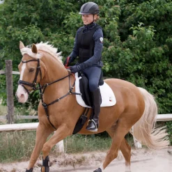 WALDHAUSEN Martingales & Breastplates|Secutrust Breastplate with Safety Reins