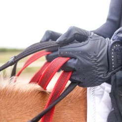 WALDHAUSEN Martingales & Breastplates|Secutrust Breastplate with Safety Reins