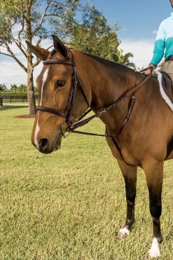WALSH PRODUCTS Lunging & Training Equipment|Walsh™ German Martingale