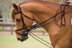 WALSH PRODUCTS Lunging & Training Equipment|Walsh™ Rope Front Draw Reins