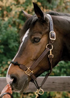 WALSH PRODUCTS Halters|Walsh™ Rope Nose British Halter