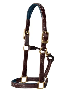 WALSH PRODUCTS Halters|Walsh™ Signature Padded Halter