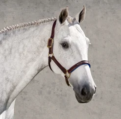 WALSH PRODUCTS Halters|Walsh™ Signature Padded Halter