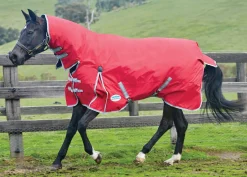 WEATHERBEETA Turnout Blankets|® ComFiTec™ Classic Combo Neck Lite