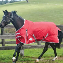 WEATHERBEETA Turnout Sheets|® ComFiTec™ Classic Standard Neck Lite