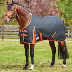 WEATHERBEETA Turnout Blankets|® ComFiTec™ Essential Solid Medium Weight Turnout Blanket
