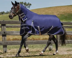 WEATHERBEETA Turnout Blankets|® ComFiTec™ Essential Combo Neck Medium-Weight Turnout Blanket