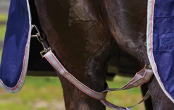 WEATHERBEETA Turnout Blankets|® ComFiTec™ Essential Standard Neck Heavyweight Turnout