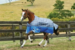 WEATHERBEETA Turnout Blankets|® ComFiTec™ Free Standard Neck Medium Weight Turnout Blanket