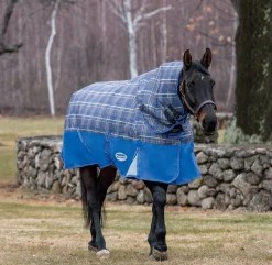 WEATHERBEETA Turnout Blankets|® ComFiTec™ Free Standard Neck Medium Weight Turnout Blanket
