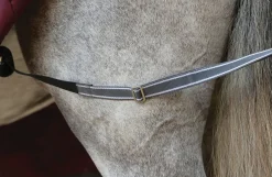 WEATHERBEETA Turnout Blankets|® ComFiTec™ Plus Dynamic II Standard Neck Medium-Weight Turnout Blanket