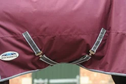 WEATHERBEETA Turnout Blankets|® ComFiTec™ Plus Dynamic II Standard Neck Medium-Weight Turnout Blanket
