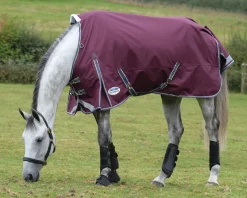 WEATHERBEETA Turnout Blankets|® ComFiTec™ Plus Dynamic II Standard Neck Medium-Weight Turnout Blanket