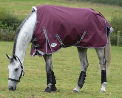 WEATHERBEETA Turnout Blankets|® ComFiTec™ Plus Dynamic II Standard Neck Lite Turnout