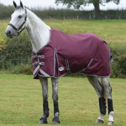 WEATHERBEETA Turnout Blankets|® ComFiTec™ Plus Dynamic II Standard Neck Lite Turnout