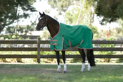 WEATHERBEETA Turnout Blankets|® ComFiTec™ Prelim Standard Neck Medium-Weight Turnout Blanket