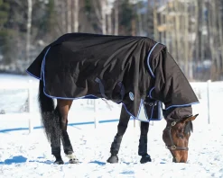 WEATHERBEETA Turnout Blankets|® ComFiTec™ Ultra Cozi II Detach-A-Neck Medium-Weight Turnout Blanket