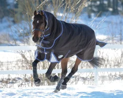 WEATHERBEETA Turnout Blankets|® ComFiTec™ Ultra Cozi II Detach-A-Neck Medium-Weight Turnout Blanket