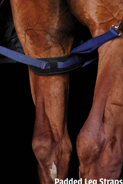 WEATHERBEETA Turnout Blankets|® ComFiTec™ Ultra Cozi II Detach-A-Neck Medium-Weight Turnout Blanket