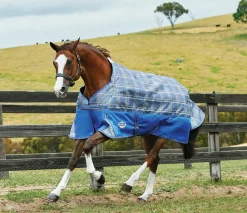 WEATHERBEETA Turnout Sheets|® Free Standard Neck Turnout Sheet
