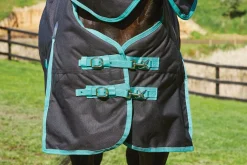 WEATHERBEETA Turnout Sheets|® Green-Tec 900D Detach-A-Neck Lite Plus