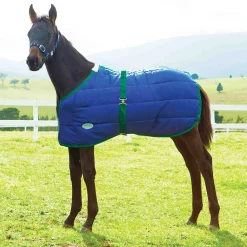 WEATHERBEETA Turnout Blankets|® Growing Foal 420D Standard Neck Medium-Weight Blanket