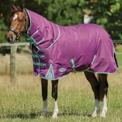 WEATHERBEETA Turnout Blankets|® Pony ComFiTec™ Premier Free II Detach-A-Neck Medium-Weight Turnout Blanket