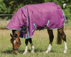 WEATHERBEETA Turnout Blankets|® Pony ComFiTec™ Premier Free II Detach-A-Neck Medium-Weight Turnout Blanket